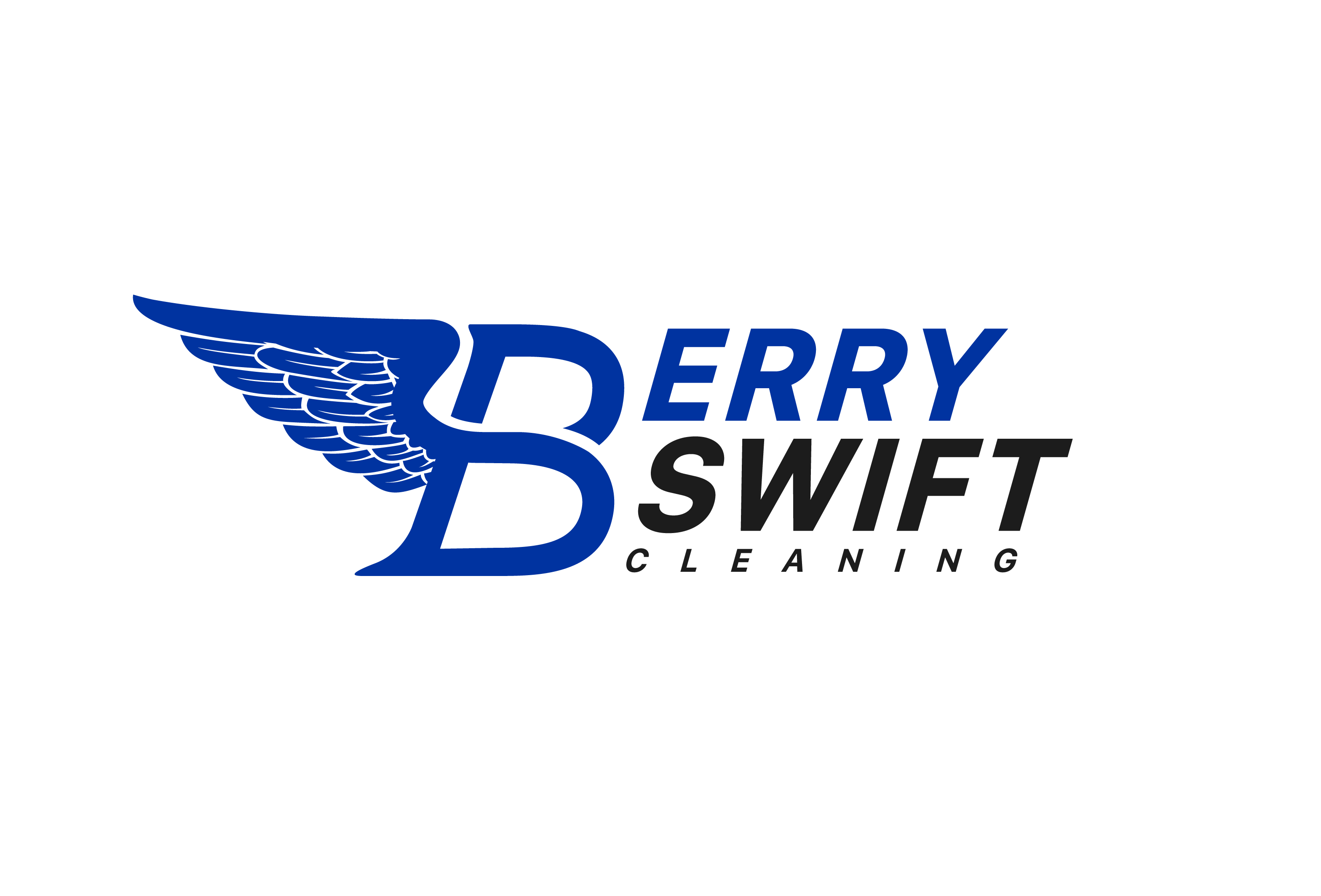 Berry Swift Cleaning